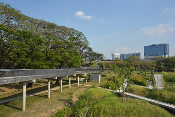 Park, architecture and cityscape in Thailand 