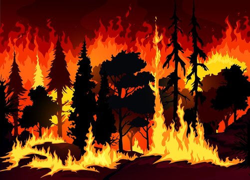 Forest wildfire disaster background with burning trees and grass. Danger fire in forest vector backdrop, ecology catastrophe or cataclysm background with bushfire, flaming trees silhouettes