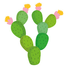 cactus plant with flowers