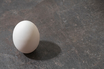 Egg
