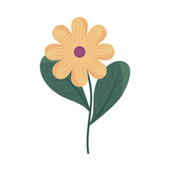 flower icon isolated