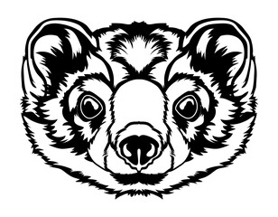 Weasel face vector iilustration in hand drawn style, perfect for tshirt and mascot design 