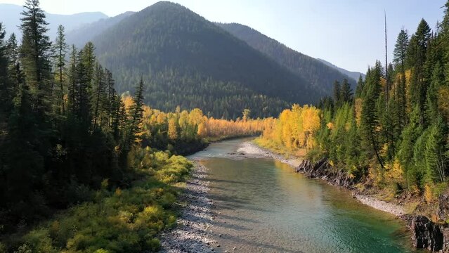 Beautiful Fall Colors Of A Forest Surrounding A Shallow Stream By The Mountainside in glacier national park - medium shot