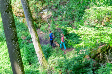 Erlebniswanderung im schattigen Wald