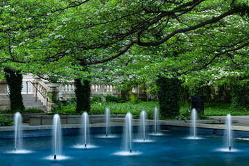 542-29 Art Institute Fountains
