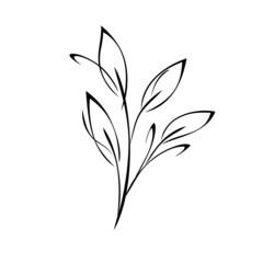 ornament 2268. stylized twig with leaves in black lines on a white background
