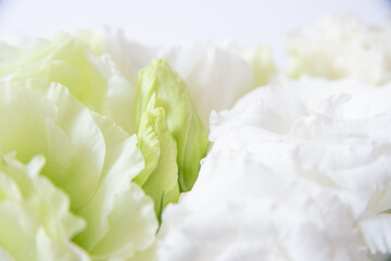 白い花　花束　トルコギキョウ