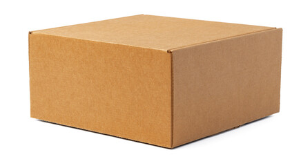 Brown cardboard box isolated on white background