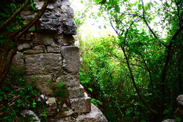 Pierre dans la for&ecirc;t