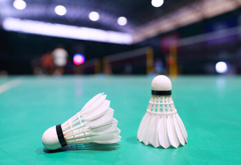 shuttlecock on green badminton playing court