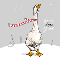 Goose in the striped scarf. Long neck. Christmas and New Year card, Humor t-shirt composition, meme, hand drawn style print. Vector illustration.