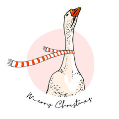 Goose in the striped red scarf. Long neck. Christmas and New Year card, Humor t-shirt composition, meme, hand drawn style print. Vector illustration.