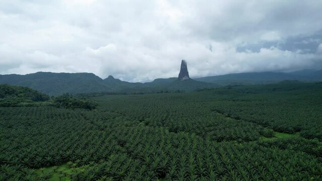Aerial view towards the Pico Cao Grande peak, overcast day in Sao Tome, Africa