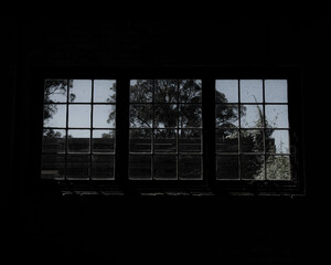 Window in the Dark