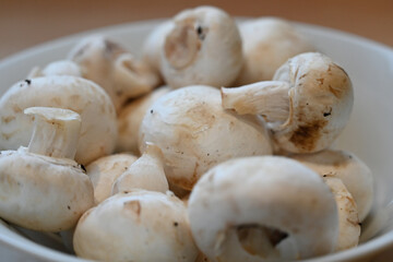 rustic White organic Mushrooms. plant based cooking ingredients. vegan and vegetarian cuisine. food prep