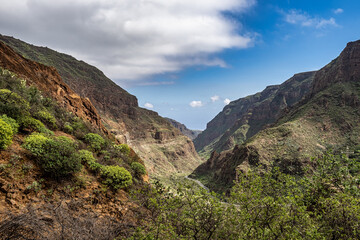Amazing View on Barranco de Guayadeque, Gran Canaria, Canary Island, Spain, Europe - obrazy, fototapety, plakaty
