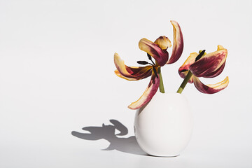 Tulpen