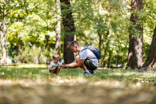 Father And Son Crouching And Gathering Materials For Game. Exploring And Learning In Nature.