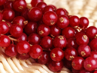 Red currant berries 
