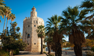 Fototapeta na wymiar the gold tower of Sevilla, near the Guadalquivir river