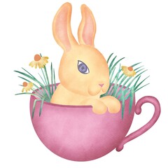 easter bunny in the cup