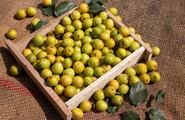 Closeup of Jujube Fruit or Ziziphus Jujuba with Leaves in a Wooden Tray Isolated on Burlap Fabric