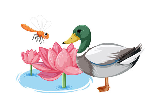 Pink lotus flowers with duck at the pond