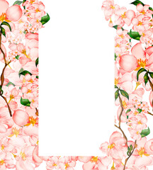 Spring cherry, apple blooming flowers frame watercolor