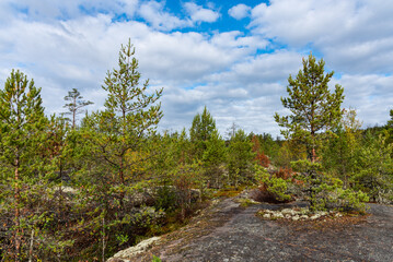 Fototapeta na wymiar Beautiful autumn view of Ladoga Skerries National Park in the Republic of Karelia.