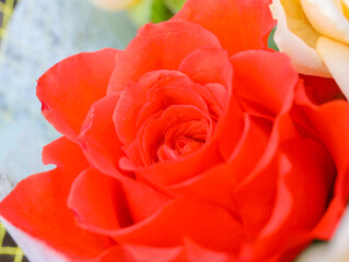 フラワーアレンジメント