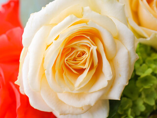 フラワーアレンジメント