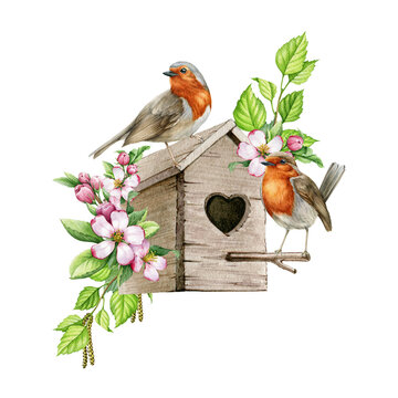 Robin birds on the birdhouse with spring flowers. Watercolor hand drawn illustration. Cozy spring decoration. Pair of robins on the cozy birdhouse, blooming spring flowers and green leaves