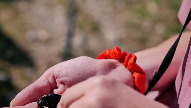 Hands holding fruits and nutts