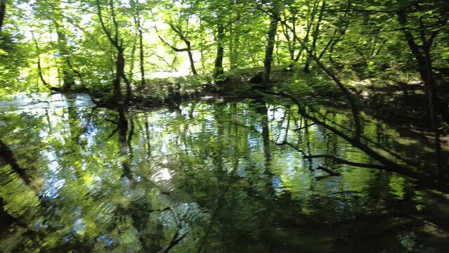 lakes and trees of Plitvice Lakes National Park in Croatia. UNESCO World Heritage of Croatia named Plitvicka Jezera.