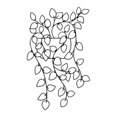 A houseplant. Simple vector illustration. Black and white drawing.