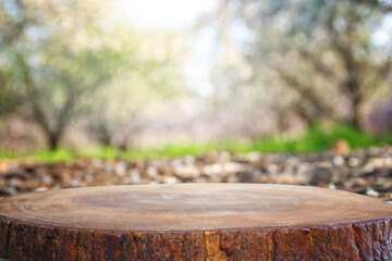 wooden table in front of spring blossom tree landscape. Product display and presentation