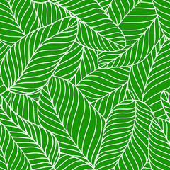 Botanical illustration. Leaves seamless background. Floral design pattern. Eps 10