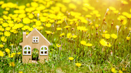 Obraz premium The symbol of the house stands among the yellow dandelions 