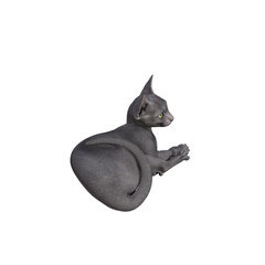 Sphynx cat isolated on white background. 3d rendering-illustration.