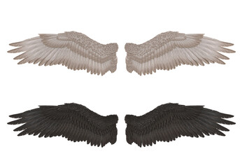 3D Render : Realistic isolated angel wings pair of falcon wings,wings design template