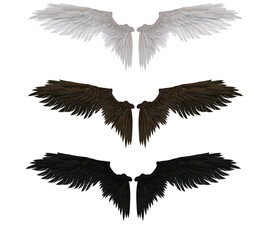 3D Render : Realistic isolated angel wings pair of falcon wings,wings design template