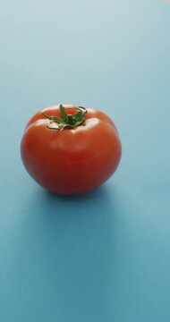Vertical video of fresh ripe red tomato on blue background