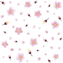 pattern and background with pink  flowers