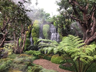 Decorate waterfall and green fern plants rain forest beautiful garden