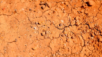 Dehydrated, cracked soil. Drought problem. Effects of global warming.