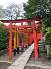 red shrine gates at Nezu Shrine, Tokyo Japan , spring 2022