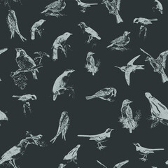 Seamless pattern with floral romantic elements, for your design. Endless texture, sketch humming-birds, watercolor flowers, isolated Vector illustration.