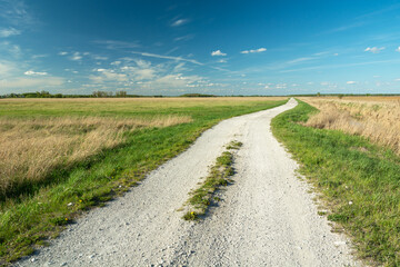 A gravel road through wild meadows and clear skies, Gotowka, Poland