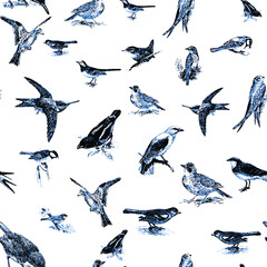 Seamless pattern with floral romantic elements, for your design. Endless texture, sketch humming-birds, watercolor flowers, isolated Vector illustration.