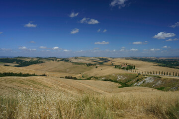 Rural landscape near Asciano, Tuscany, Italy